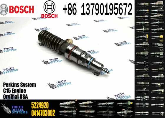 Hot Sell Common Rail Fuel Injector 0414703003 0414703005 0414703007 5224920