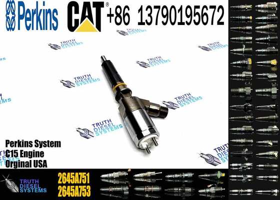 China Made New Common Rail Fuel Injector 320-0655 2645A751 Engine Fuel Injector for Engine C6.6