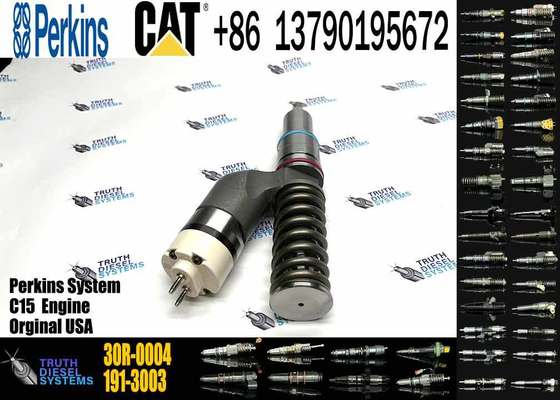 Factory Wholesale of High Quality Components in Stock Fuel Injector 30R-0004 365-8156 1677154 8113092 BEBE4B01003 for CAT Engine