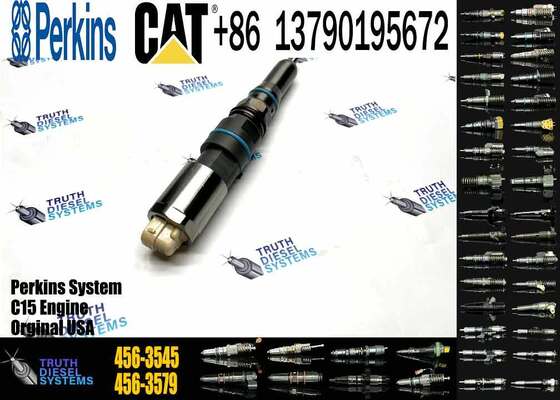 Engine Fuel Injector Gp-Fuel 456-3545 4563545 20R5078 20R-5078 for Caterpillar Excavator