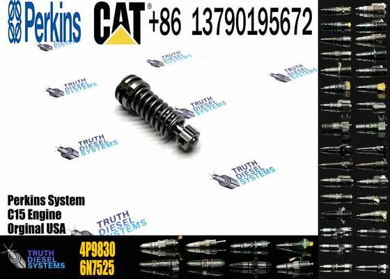 Construction Machinery Parts Fuel Injection Pump Plunger 4P9830 1W6541 7W5929 for Cat Engine 3304 3306 Plunger