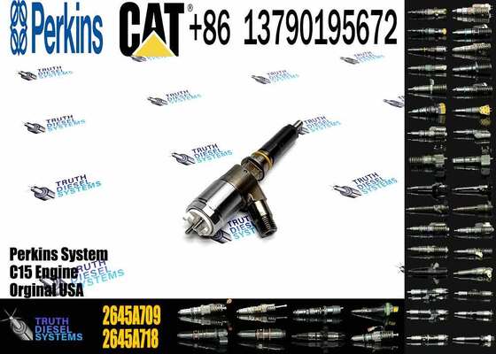 Common Rail Diesel Fuel Injectors 2645A709 2645A743 2645A745 2645A746 2645A747 for CAT C6.6 Engine 323D Excavator