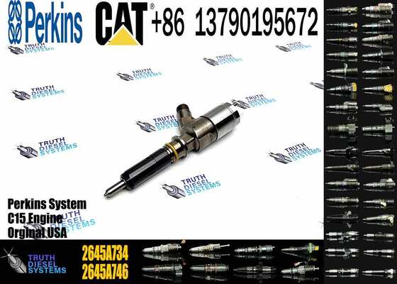 New Quality Common Rail Fuel Injector 306-9380 2645A734 Engine Fuel Injector for Engine C6.6