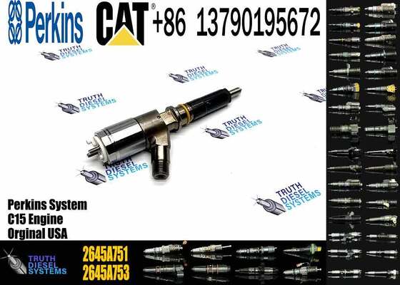 China Made New Common Rail Fuel Injector 320-0655 2645A751 Engine Fuel Injector for Engine C6.6