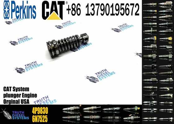 Excavator Plunger 4P-9830 CAT 3306B 3306 Diesel Fuel Injection Pump Element Plunger 4P9830 1W6541
