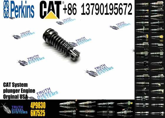 Excavator Plunger 4P-9830 CAT 3306B 3306 Diesel Fuel Injection Pump Element Plunger 4P9830 1W6541