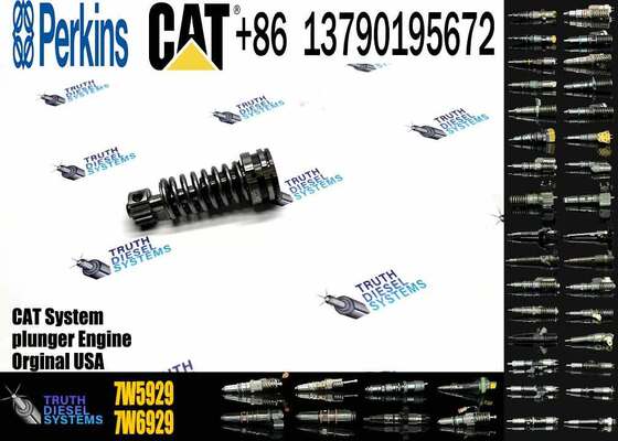 High Quality Fuel Injection Pump Plunger 9H5797 1W6541 7W5929 6N7828 7W6929 HRCA4P9830 for Excavator