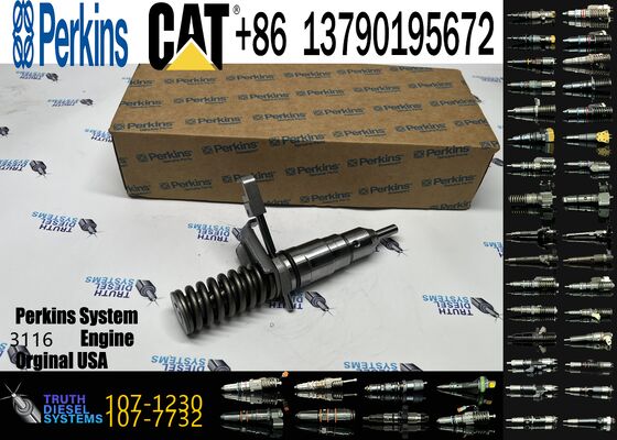 Wholesale High-performance Fuel Components Diesel Fuel Injector 127-8216 127-8230 173-4647 107-1230 for CAT 3116 Diesel Engine
