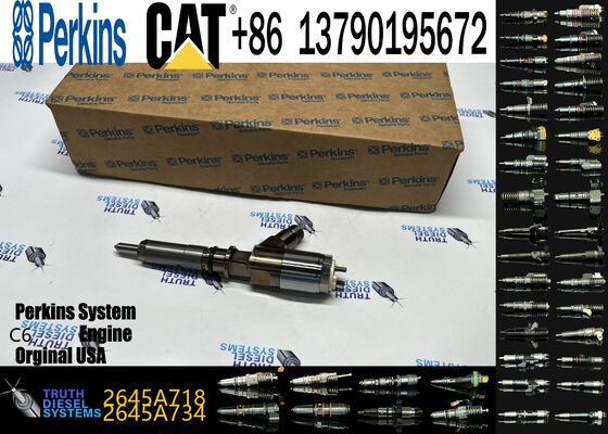 Excavator Parts Suppliers Excavator Injector 2645A749 2645A719 2645A718 2645A751 2645A746 2645A745 for C6.6 Cat Engine