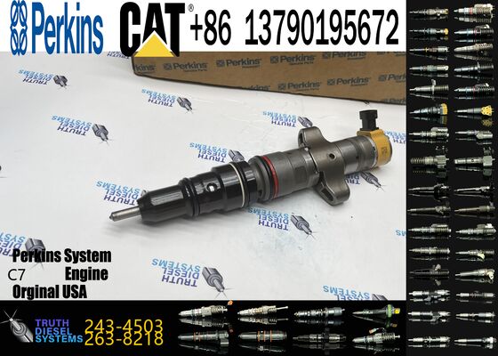 387-9429 295-1409 243-4503 328-2584 High Quality Common Rail Diesel Fuel Injector Replacement Injector for C7 Engine