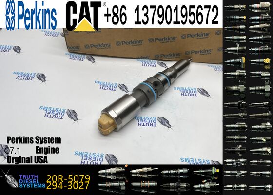 Diesel Engine Auto Parts Common Rail Fuel Injector 456-3544 20R-5079 for Engine C-9